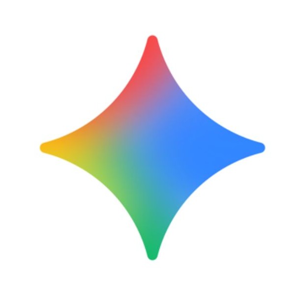 Gemini & Flow Logo